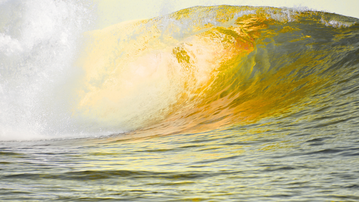 Large wave with a golden crest in the ocean